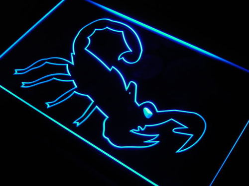 Scorpion Window Display Decor